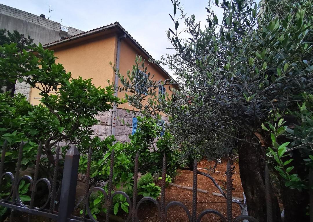 Homestay szállás Sobe Aleksandra Budva
